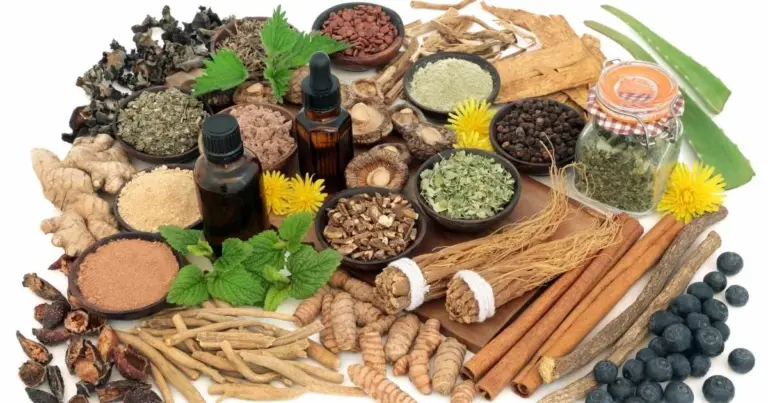 Maca and Ashwagandha: Benefits, Differences & Best Uses