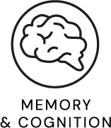 Brand Name : Brand Short Description Type Here.