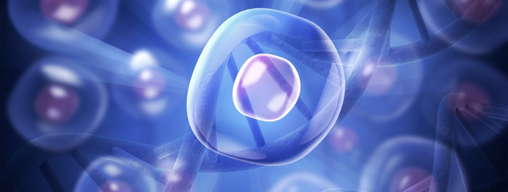 nicotinamide riboside