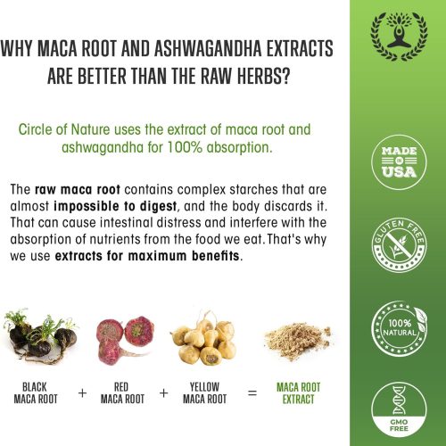 alt ="maca root"